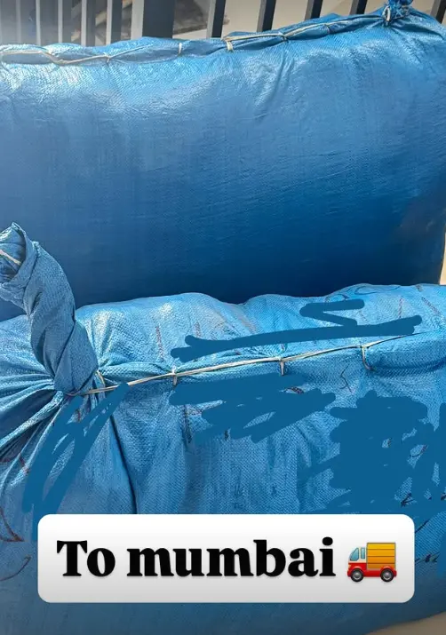 wholesale kidswear india